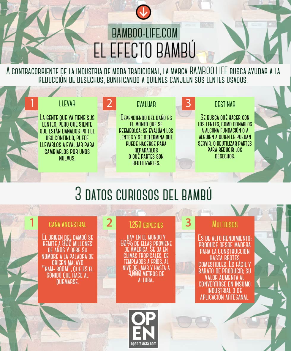 Éxito del emprendimiento mexicano: Gafas de Bambú 2