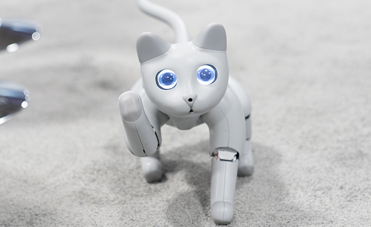 MarsCat-es-el-unico-robot-mascota-con-inteligencia-artificial