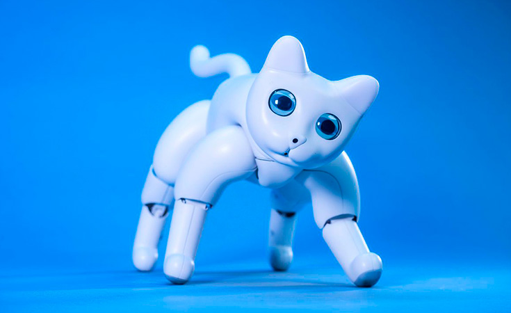 MarsCat-mascota-del-futuro