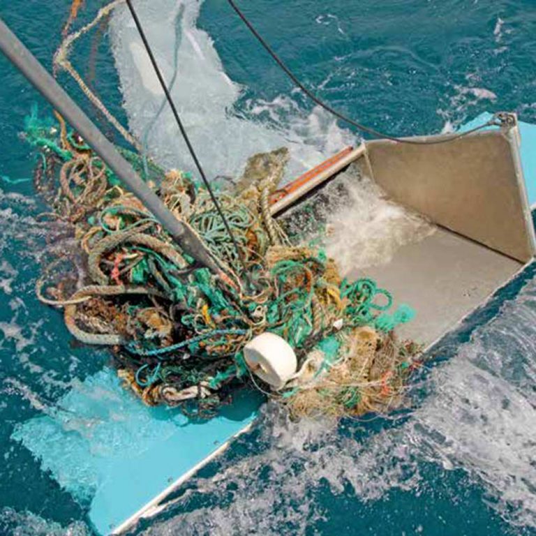 Plástico y redes han sido recolectadas en el mar salvando la vida marina