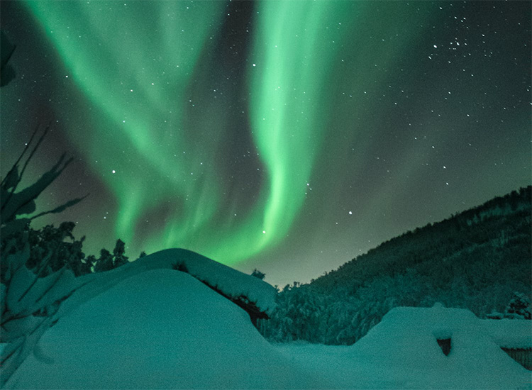 auroras boreales polo norte