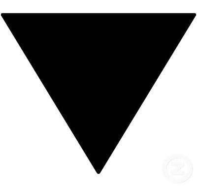triangulo-negro-feminista