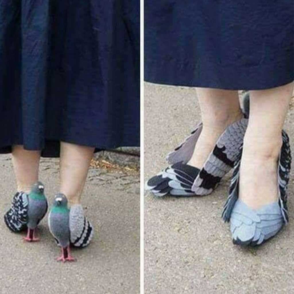 Zapatos de paloma