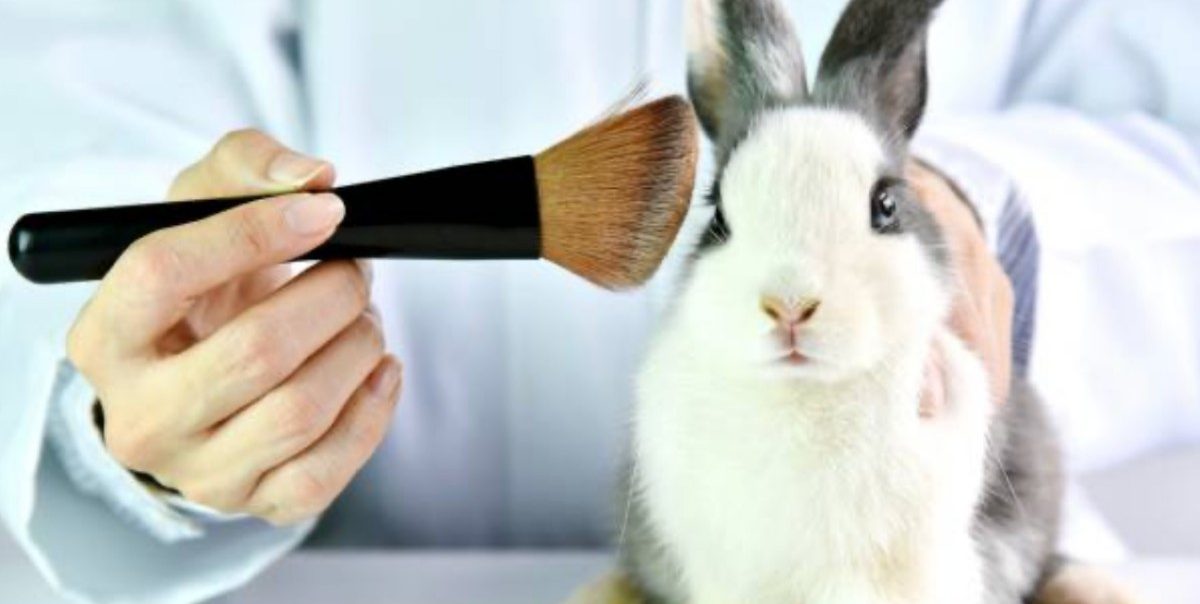 Cuidado personal con causa: lo mejor del universo cruelty free en México