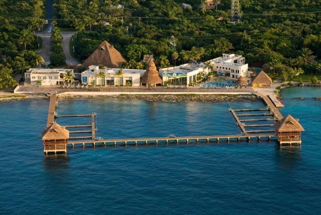 Nado con Delfines en Dolphin Discovery en el Parque Chankanaab Cozumel 1