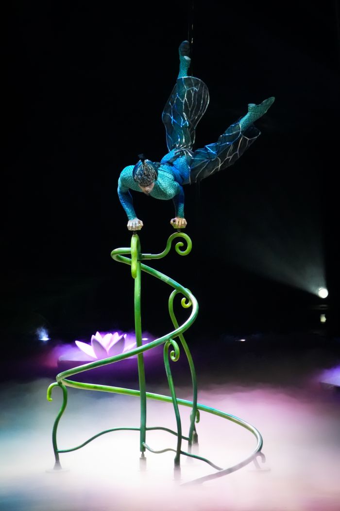 “OVO”, el extraordinario show de Cirque Du Soleil, regresa a la CDMX 1